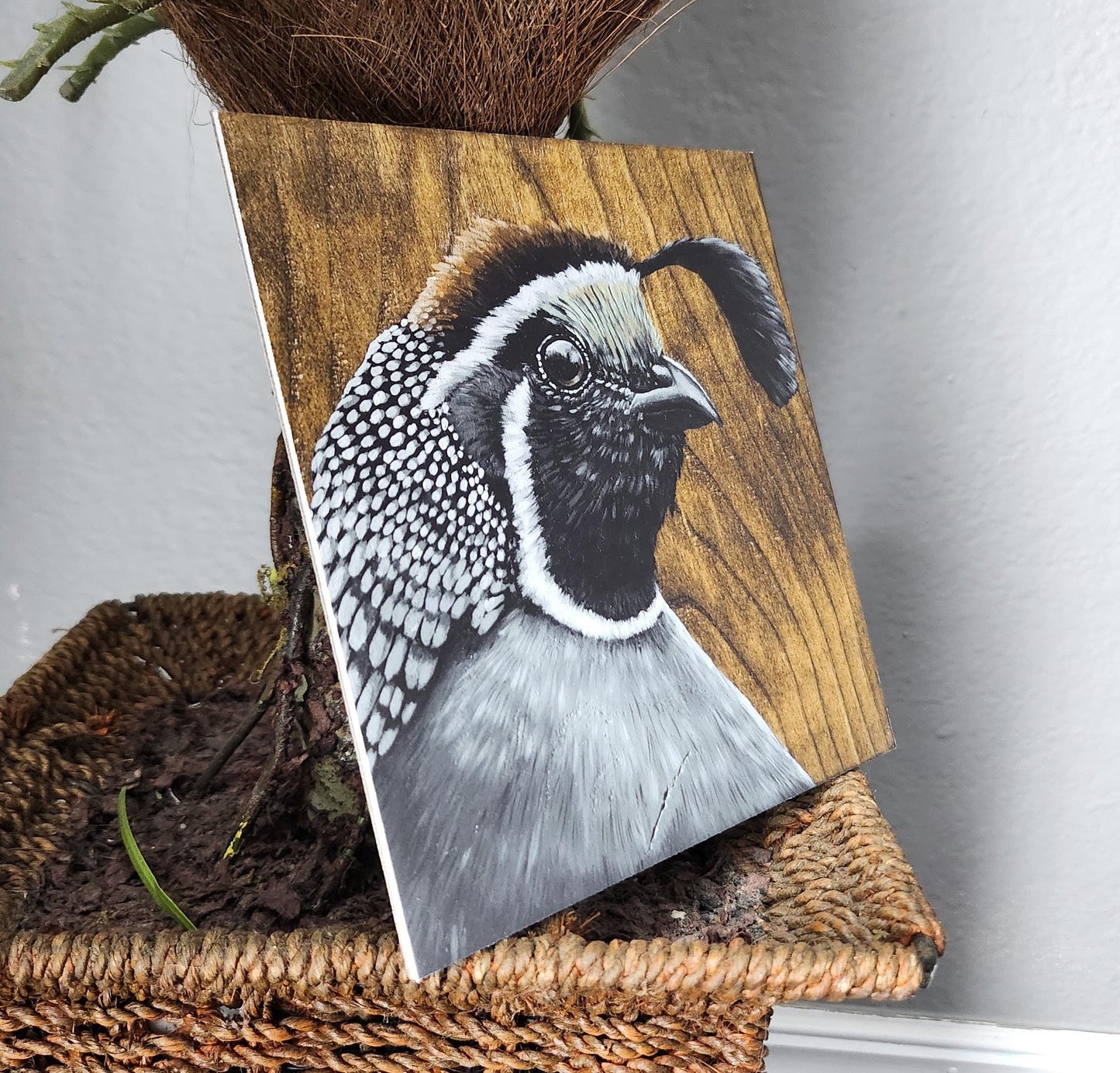 California Quail