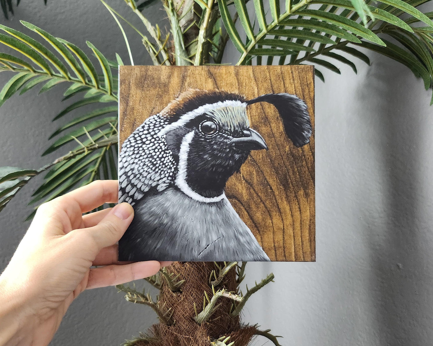 California Quail