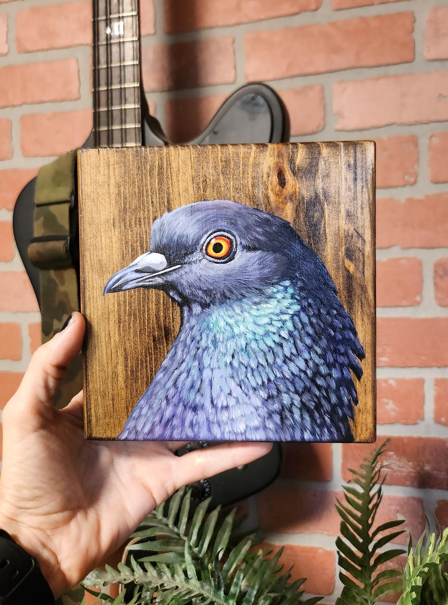 Rock Dove