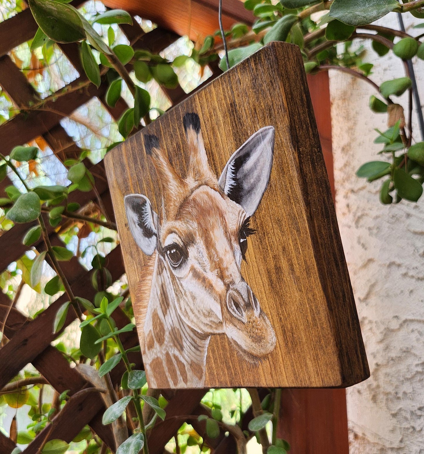 Giraffe