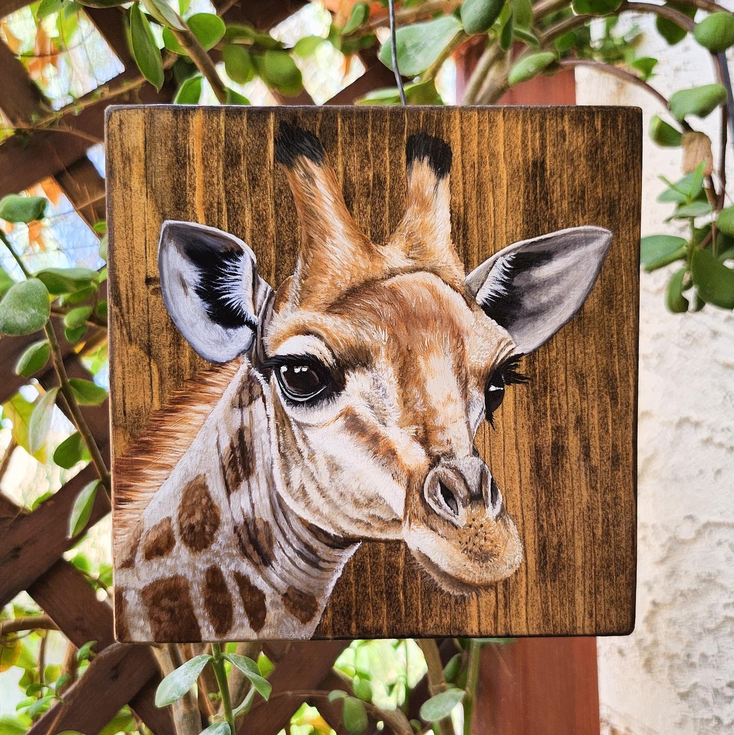 Giraffe