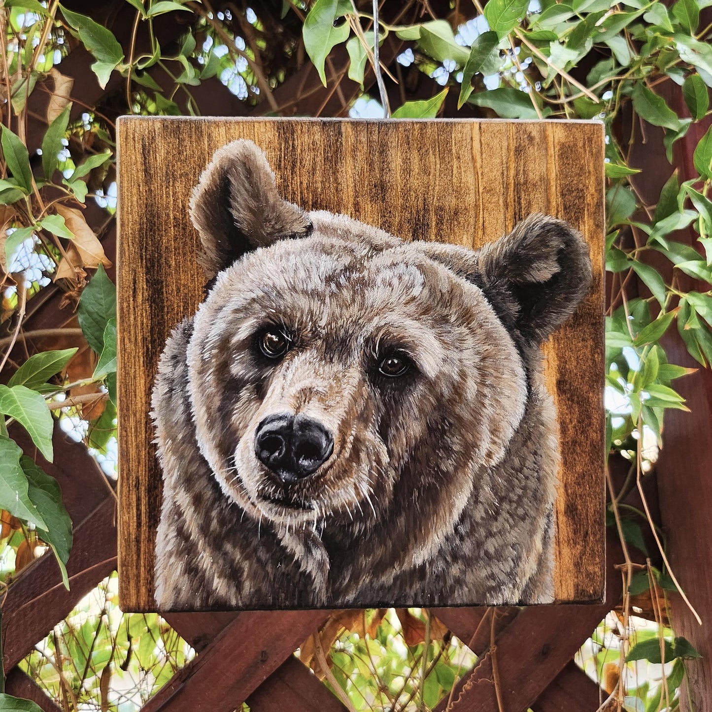 Brown Bear