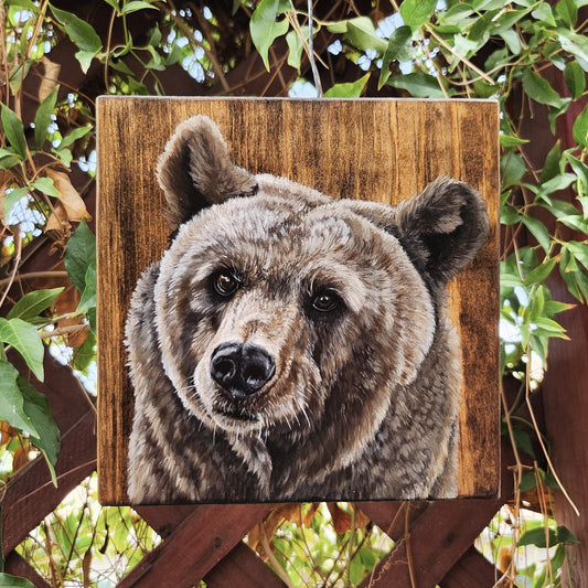 Brown Bear
