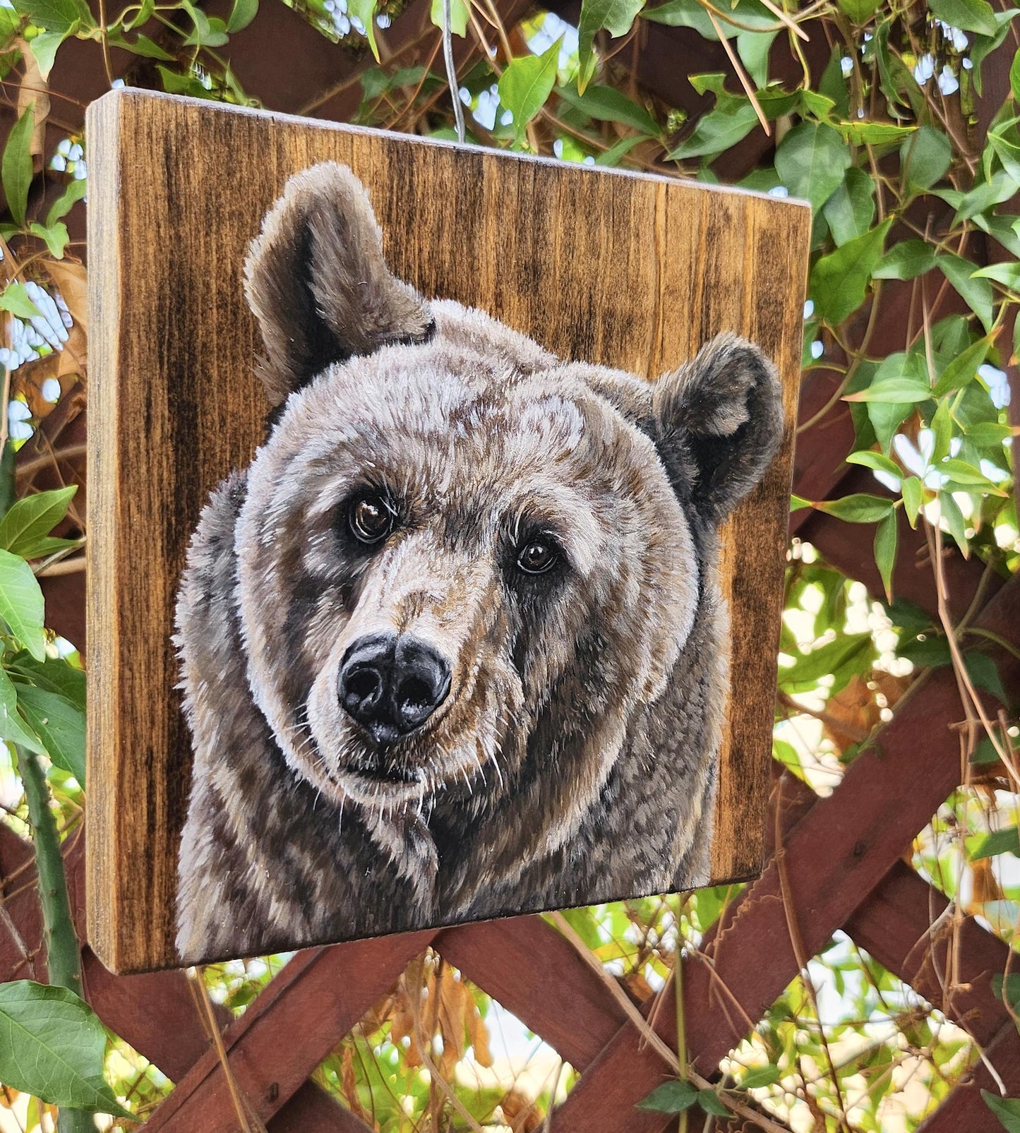 Brown Bear