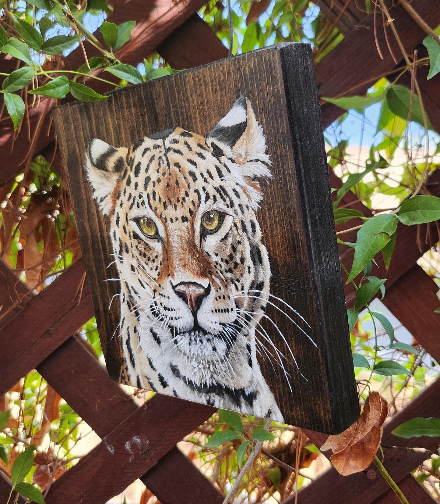 Leopard