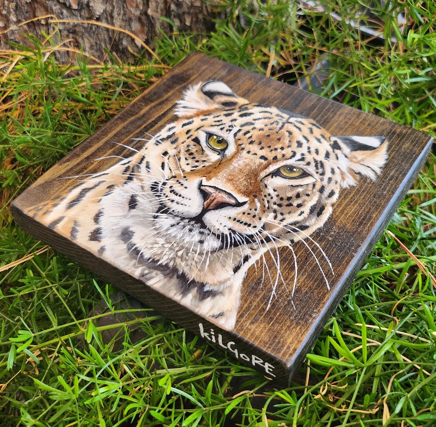 Leopard
