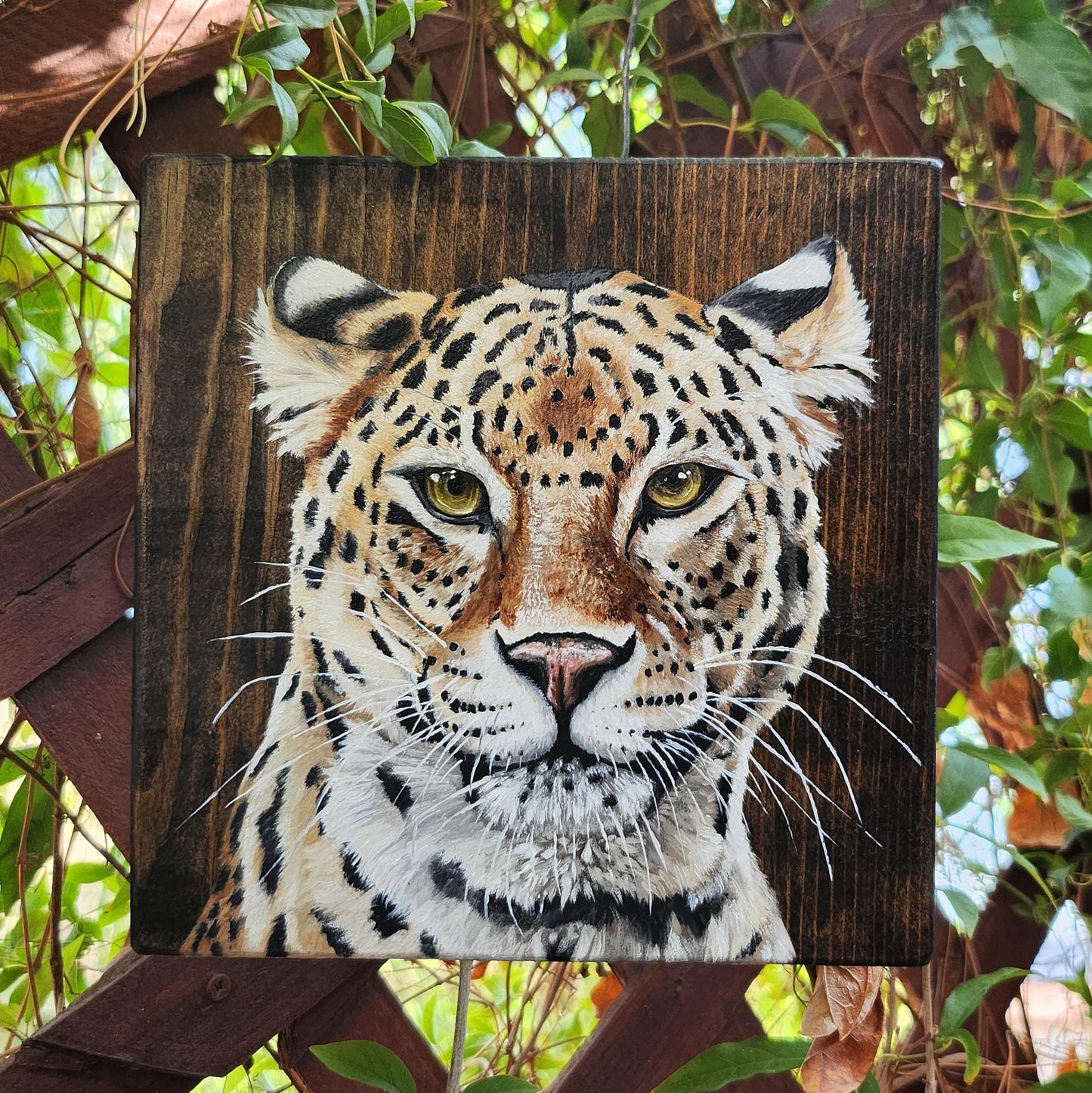 Leopard