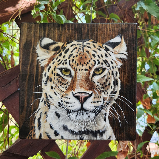 Leopard