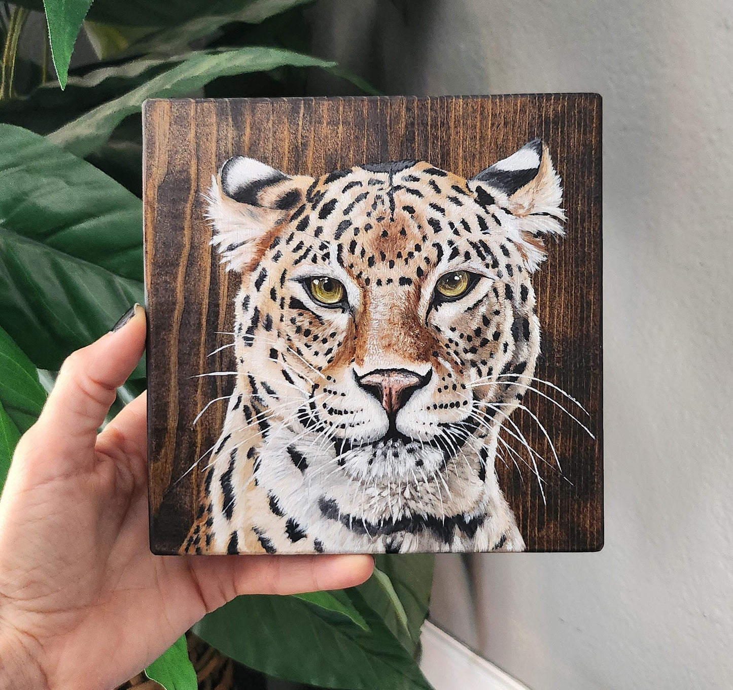 Leopard