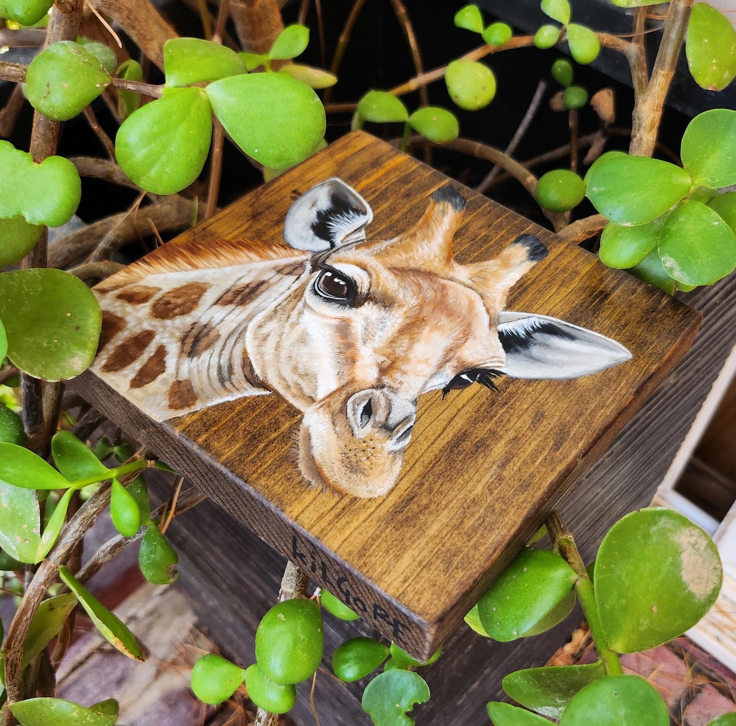 Giraffe
