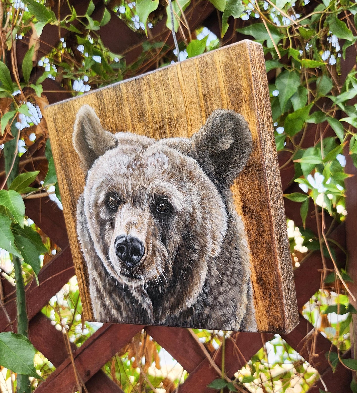 Brown Bear