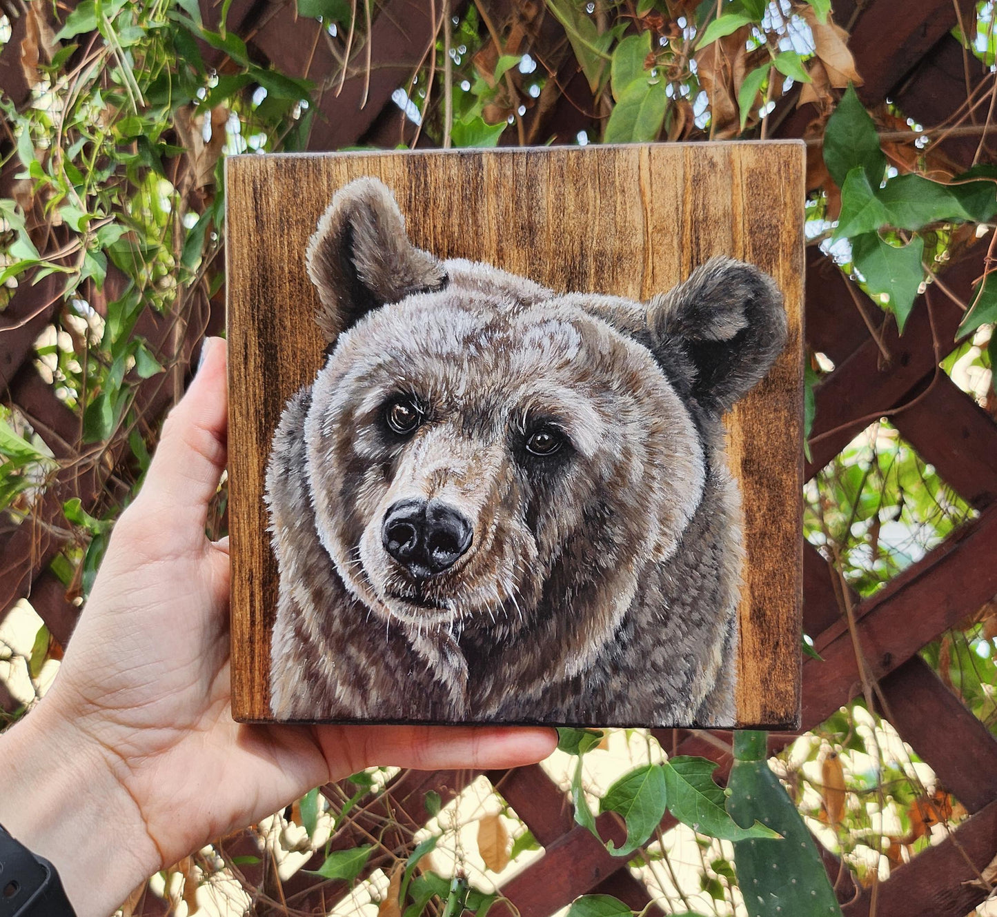 Brown Bear