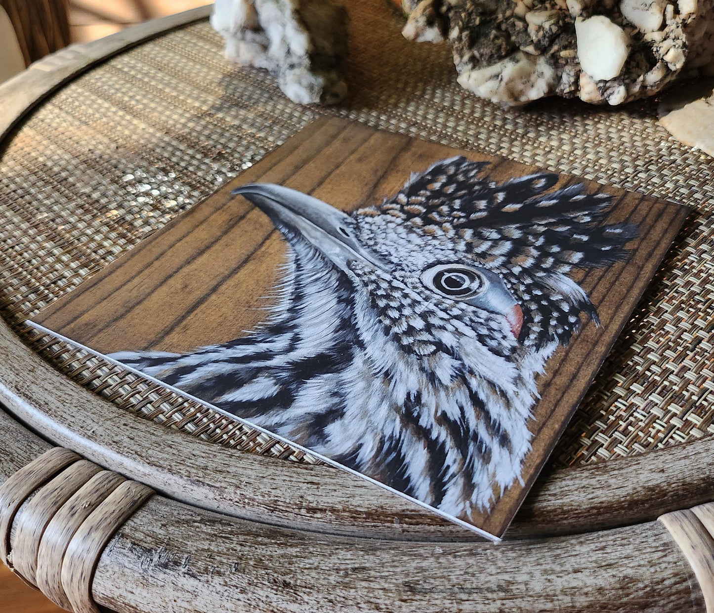 Greater Roadrunner