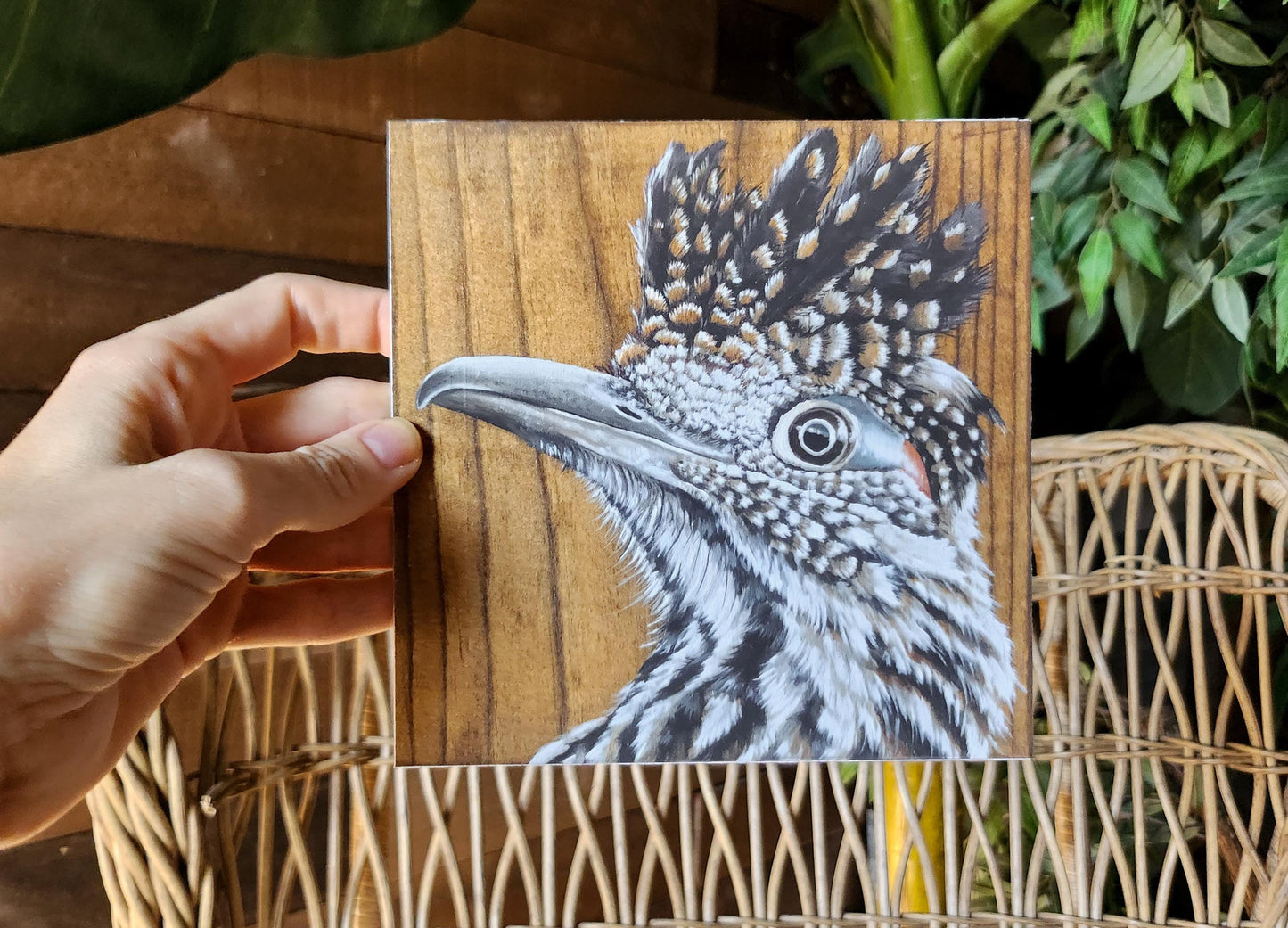 Greater Roadrunner