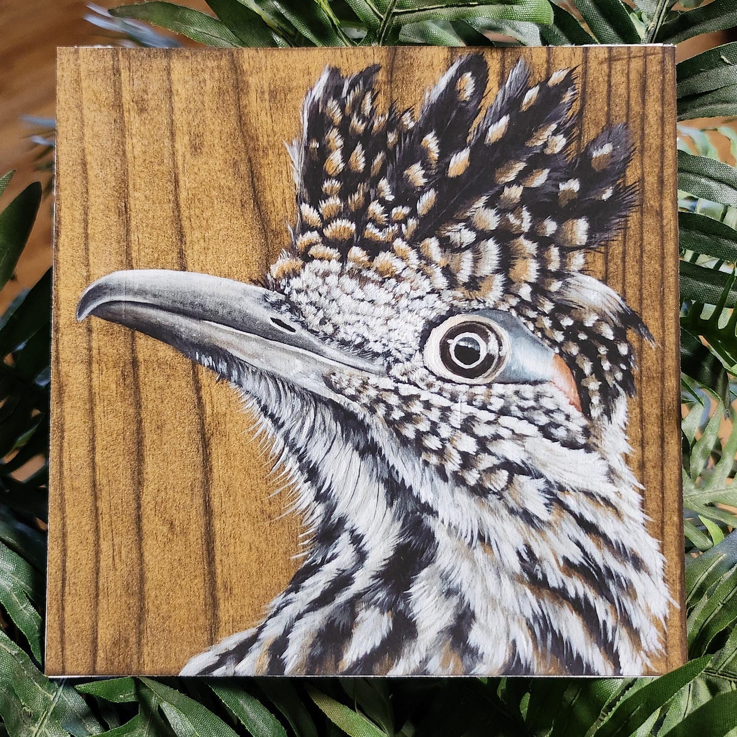 Greater Roadrunner