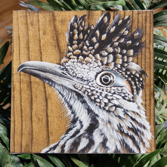 Greater Roadrunner
