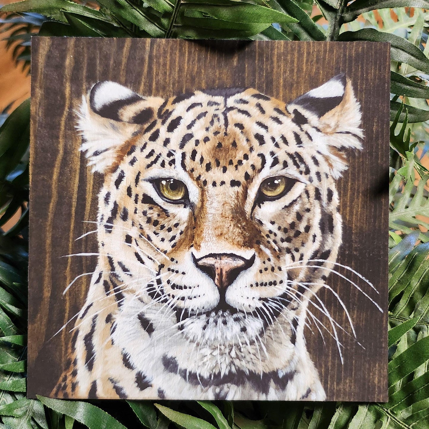 Leopard