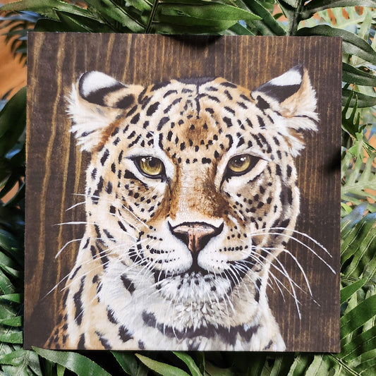 Leopard