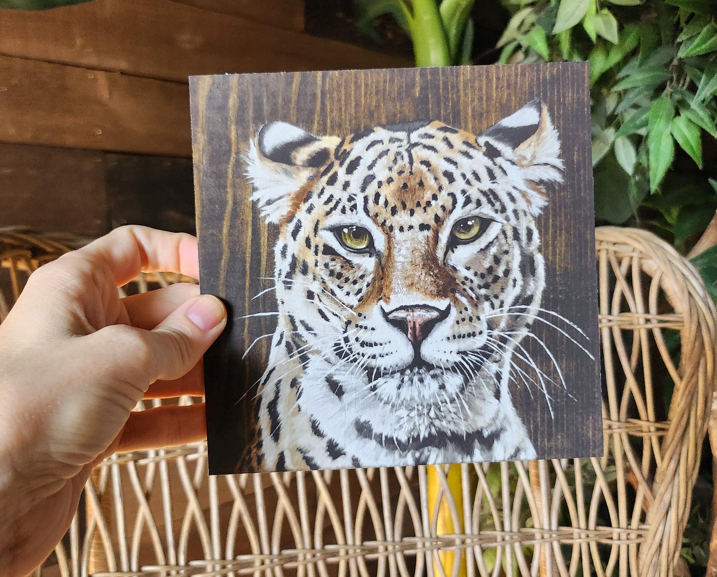 Leopard