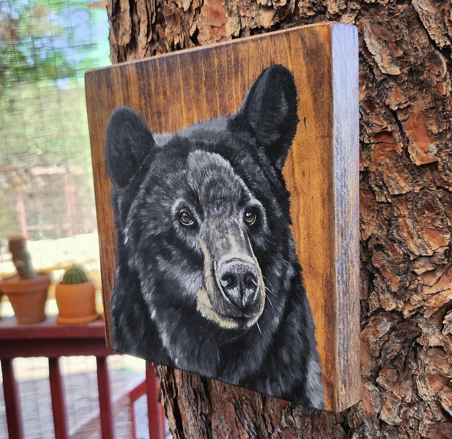 Black Bear