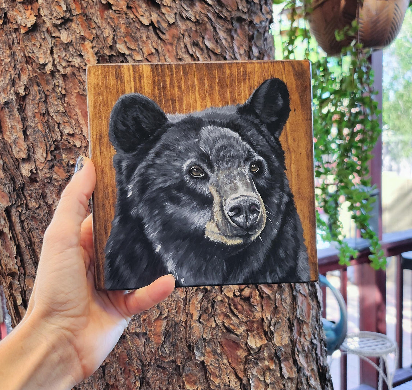 Black Bear