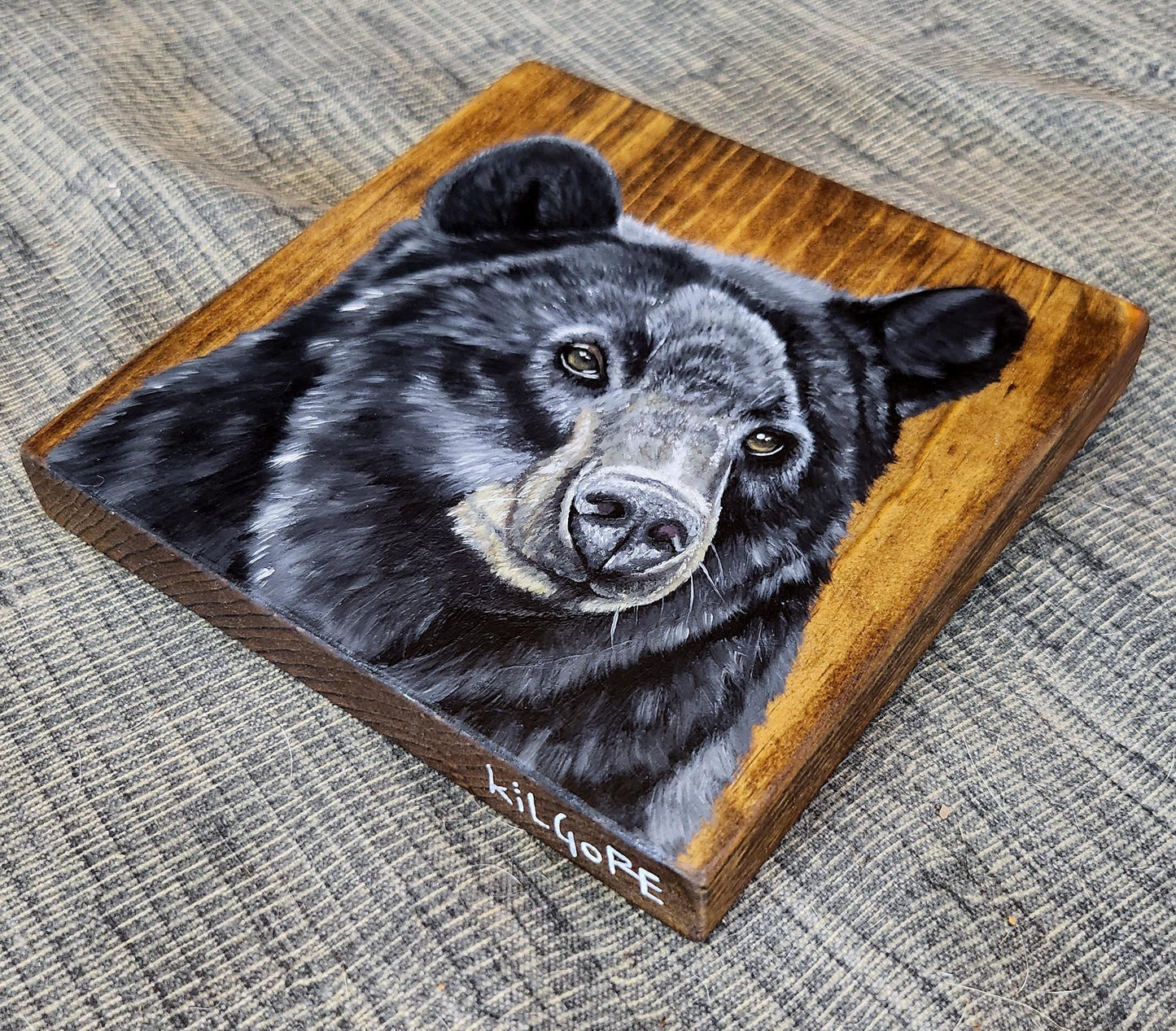 Black Bear