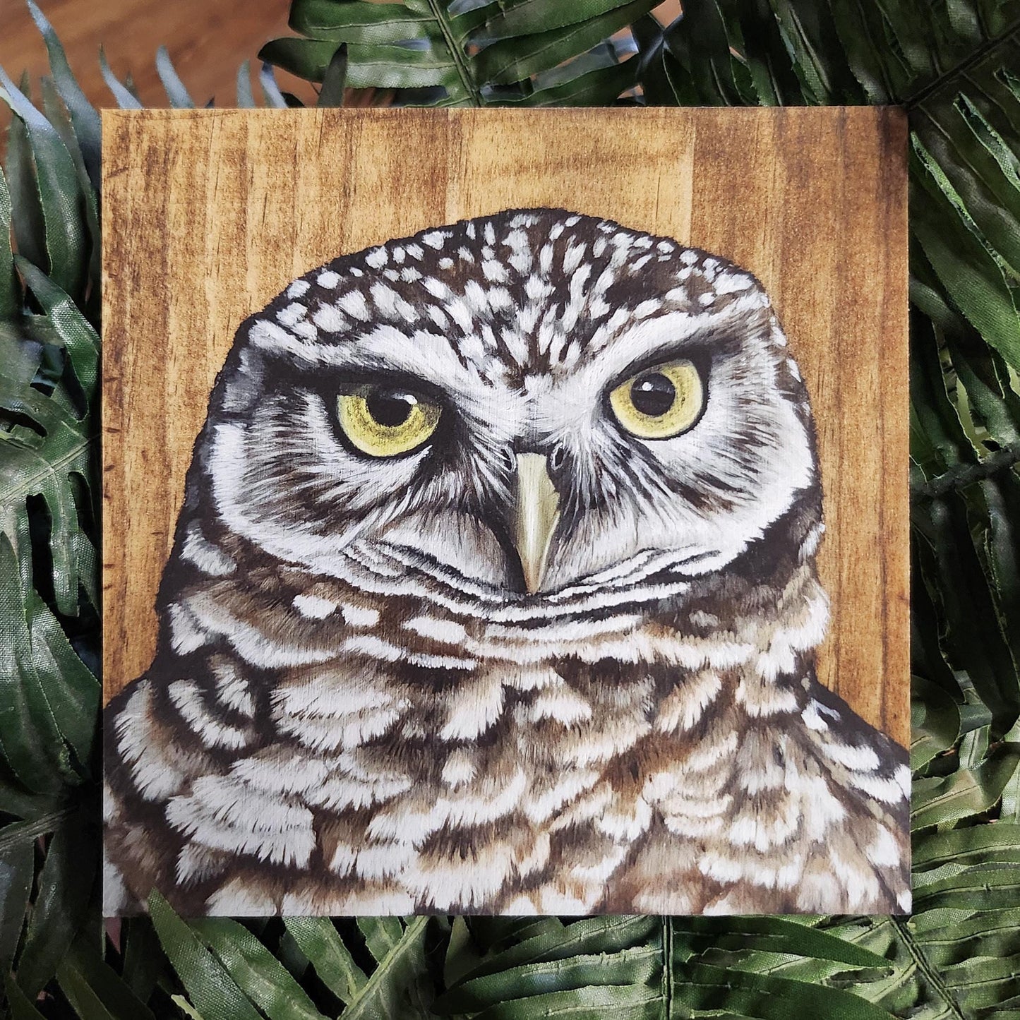 Burrowing Owl
