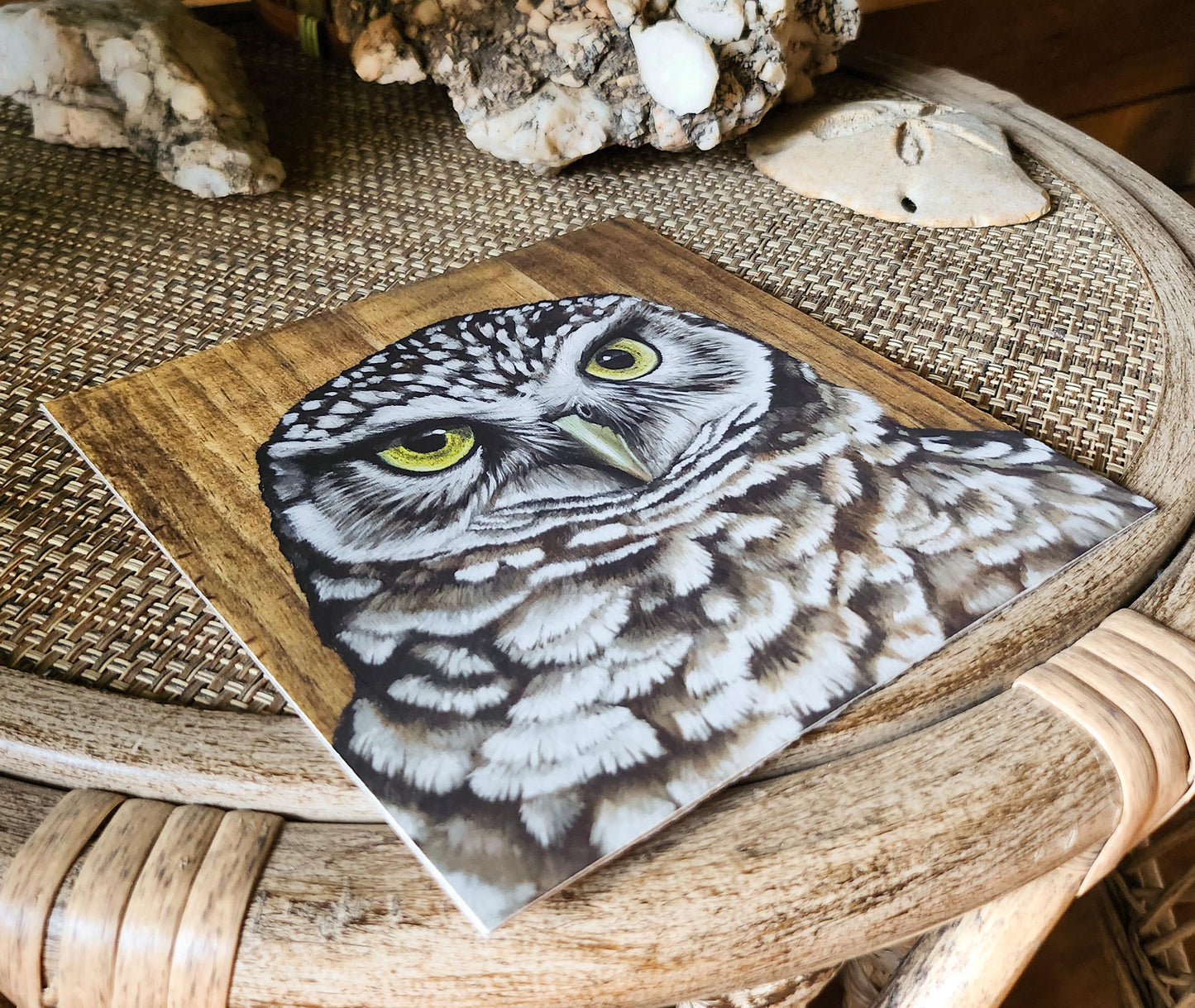 Burrowing Owl