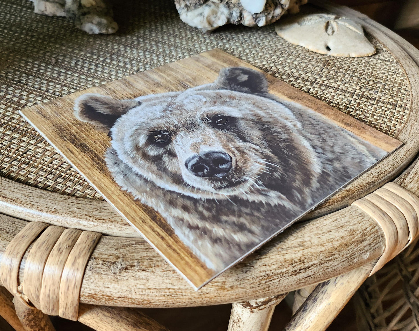 Brown Bear