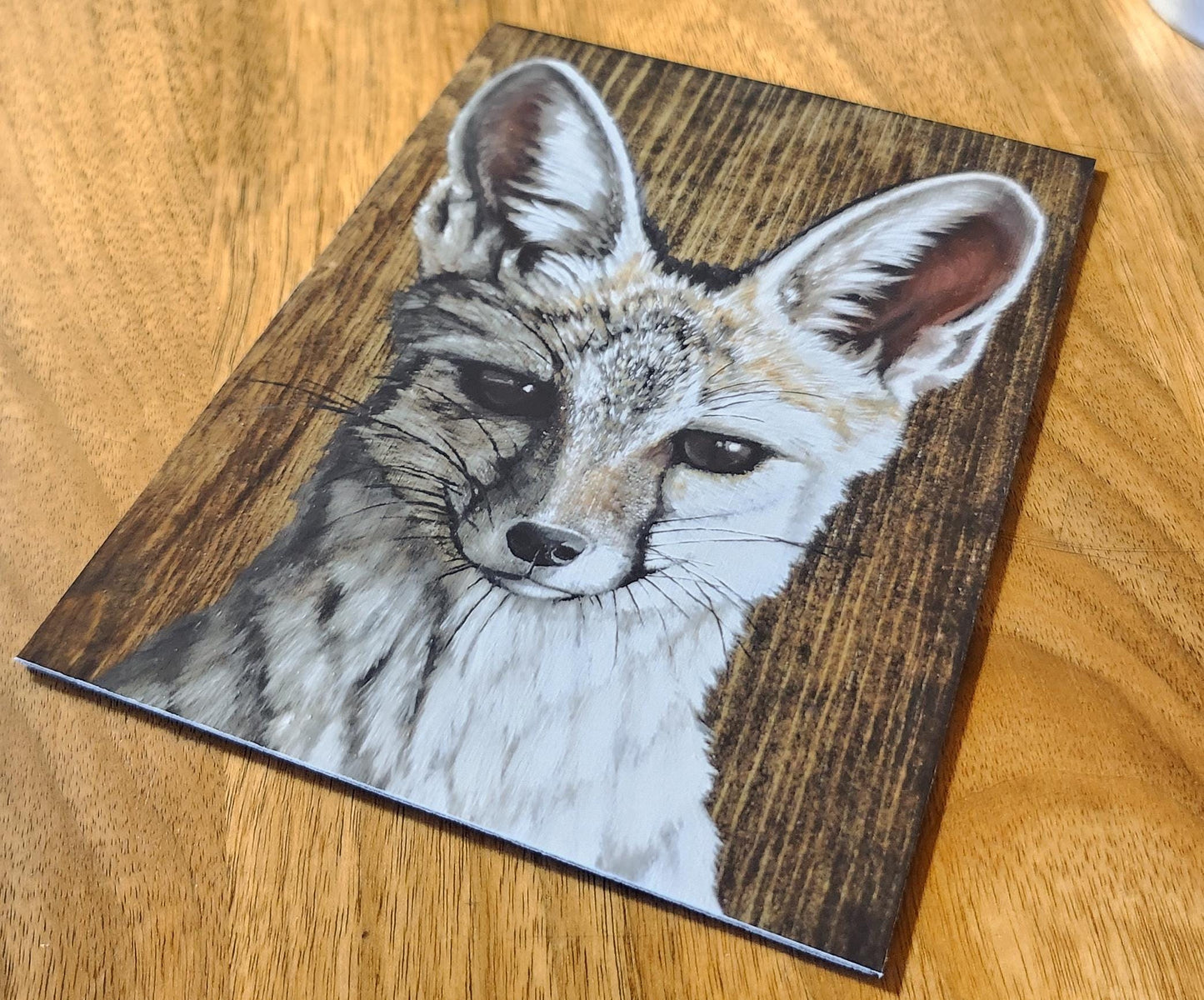Kit Fox