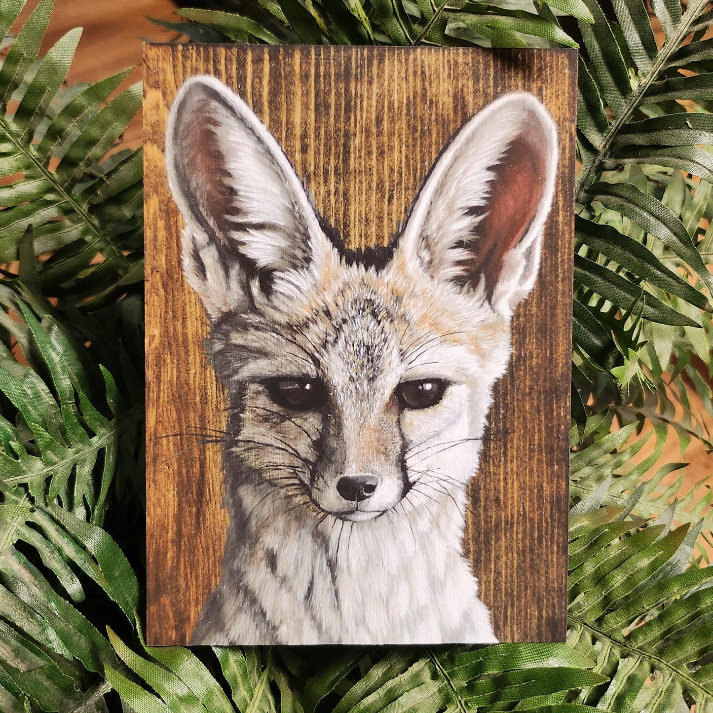 Kit Fox