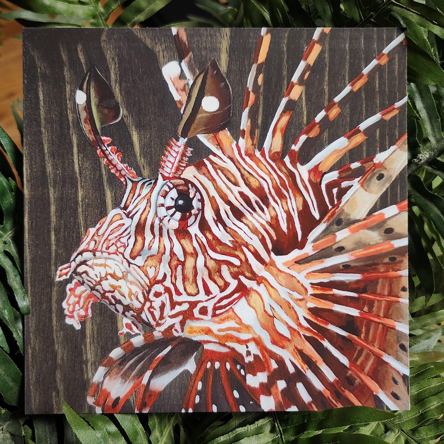 Lionfish