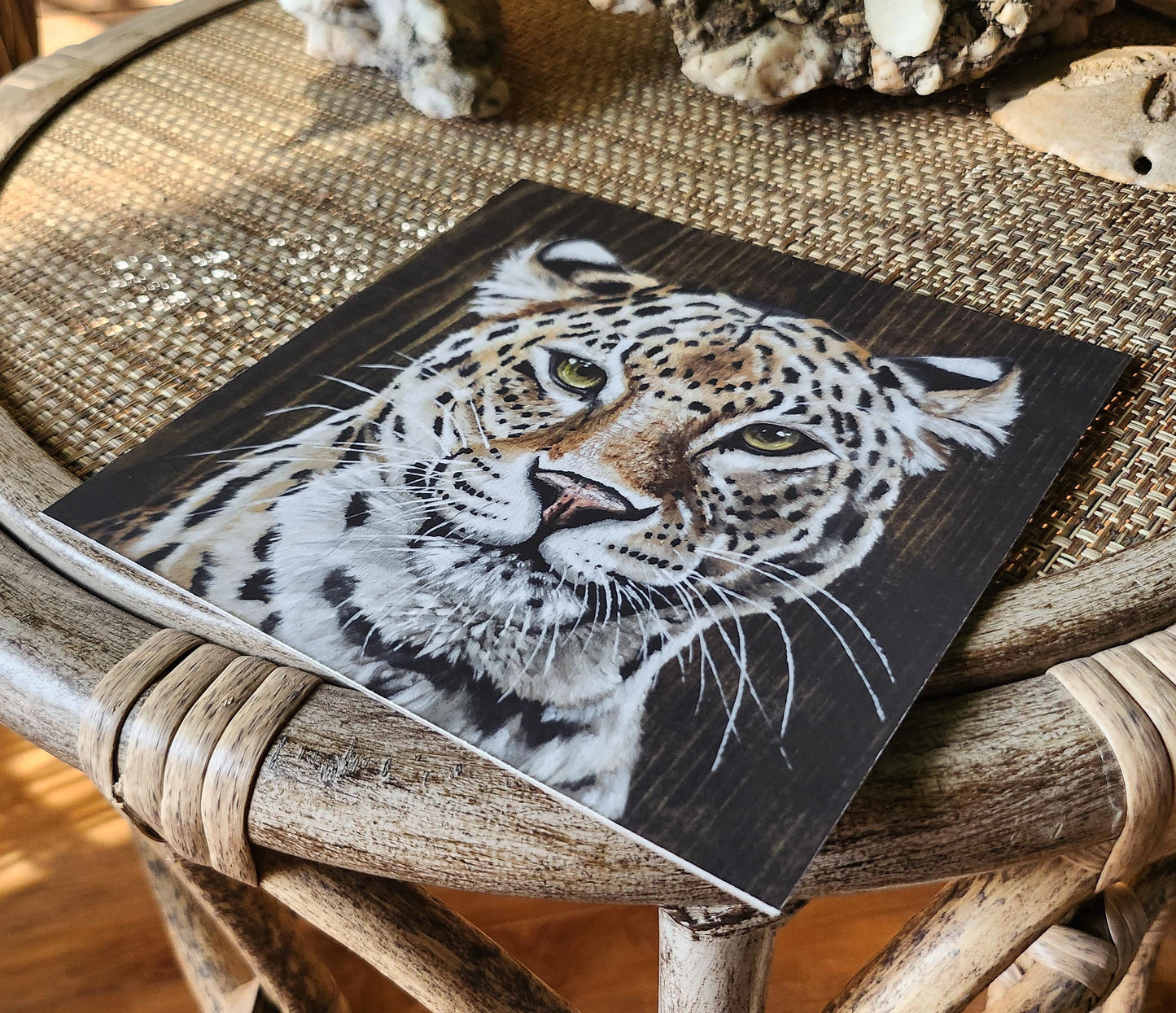 Leopard