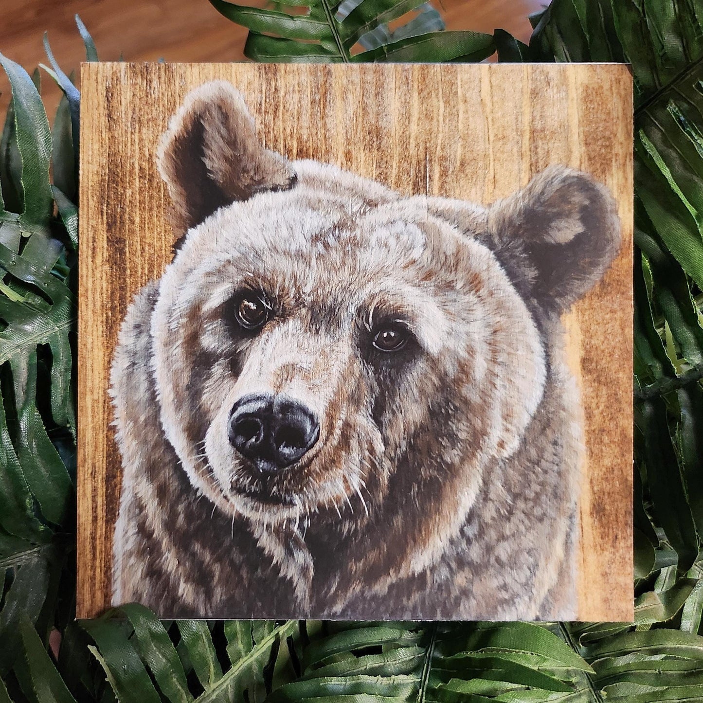 Brown Bear