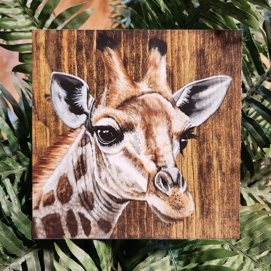 Giraffe