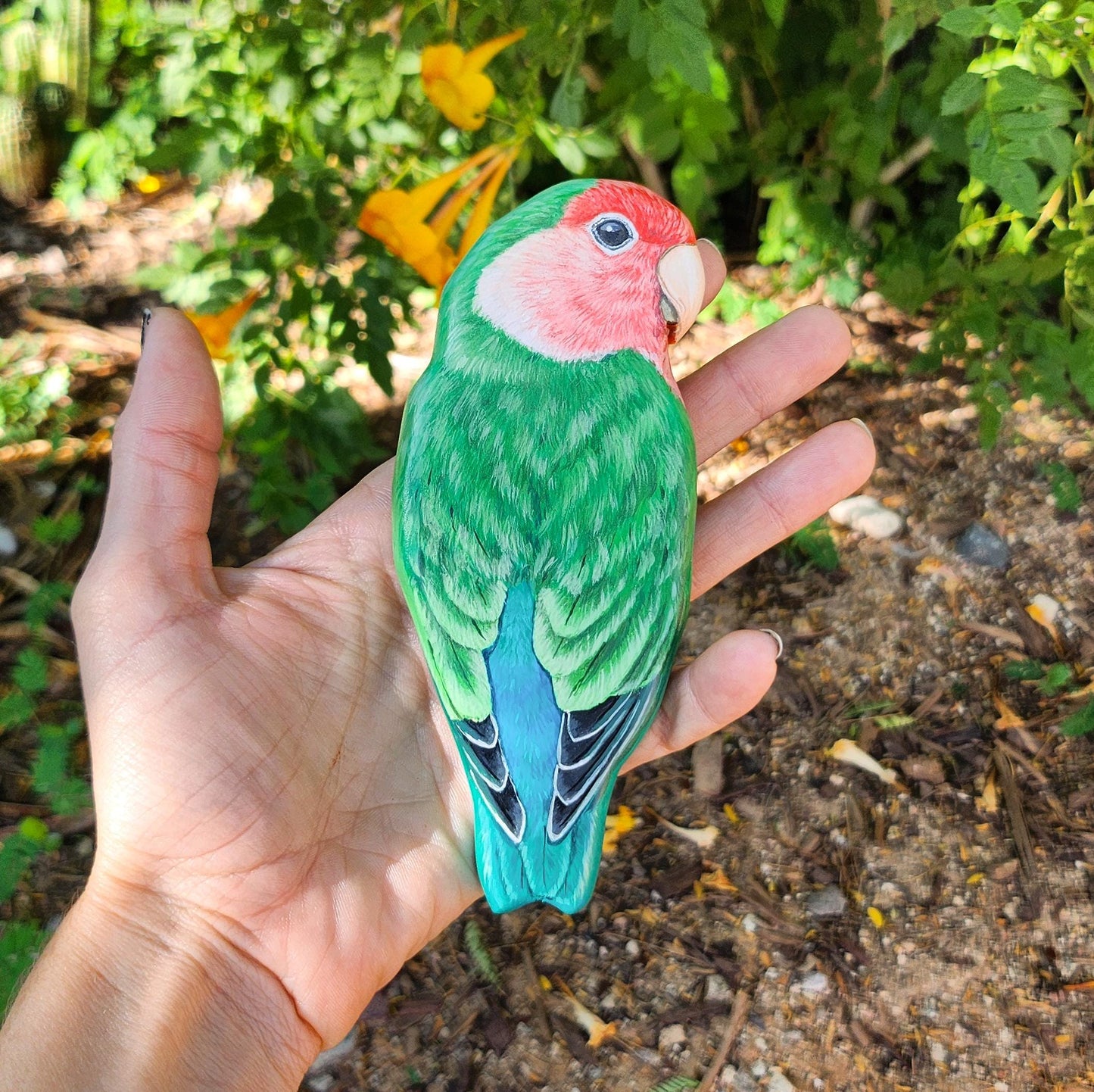 Rosy-Faced Lovebird