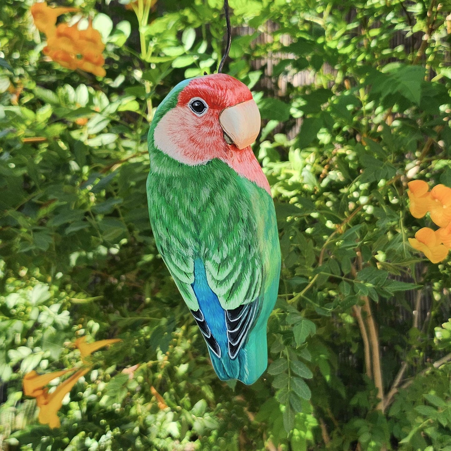 Rosy-Faced Lovebird