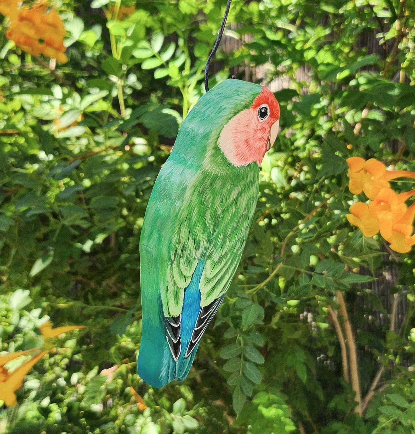 Rosy-Faced Lovebird