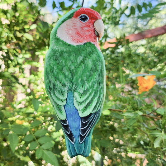 Rosy-Faced Lovebird