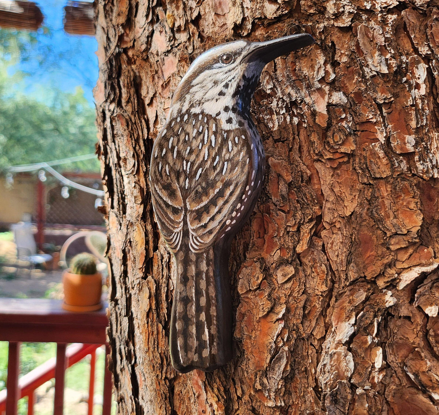 Cactus Wren