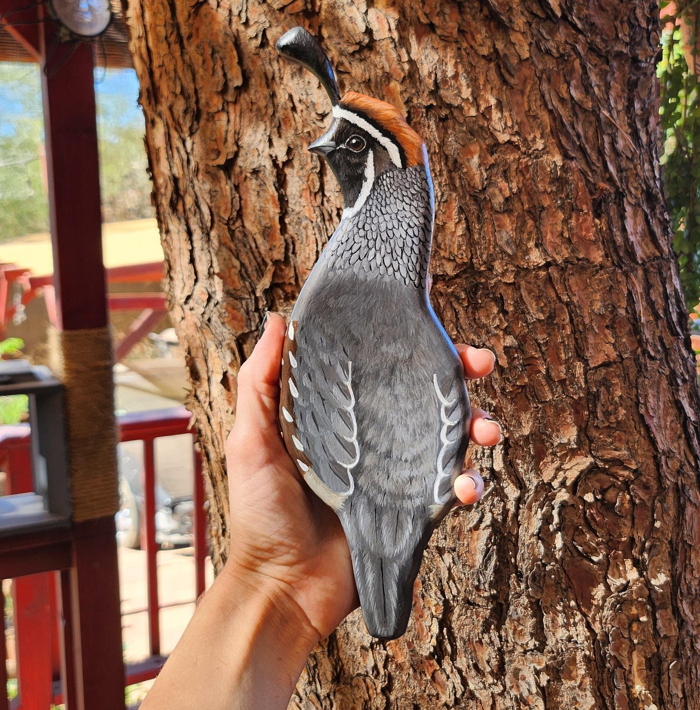 Gambel's Quail