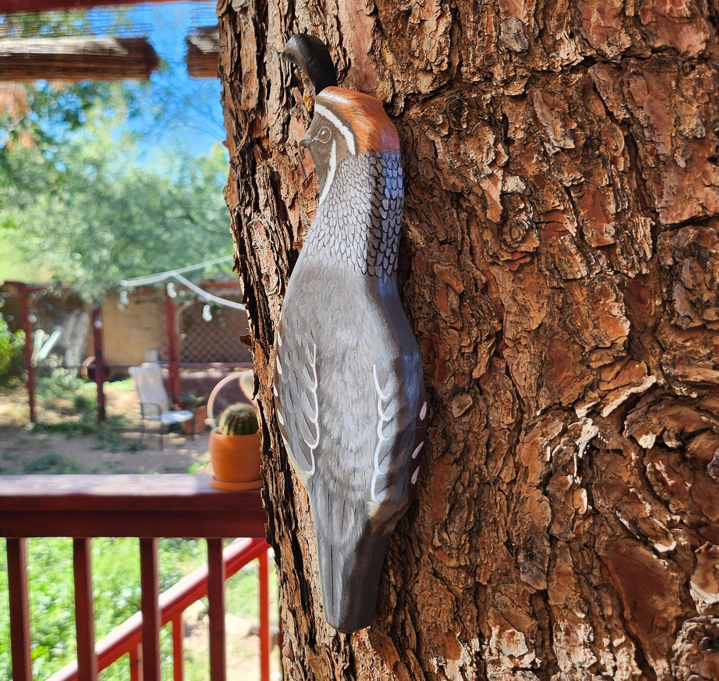 Gambel's Quail