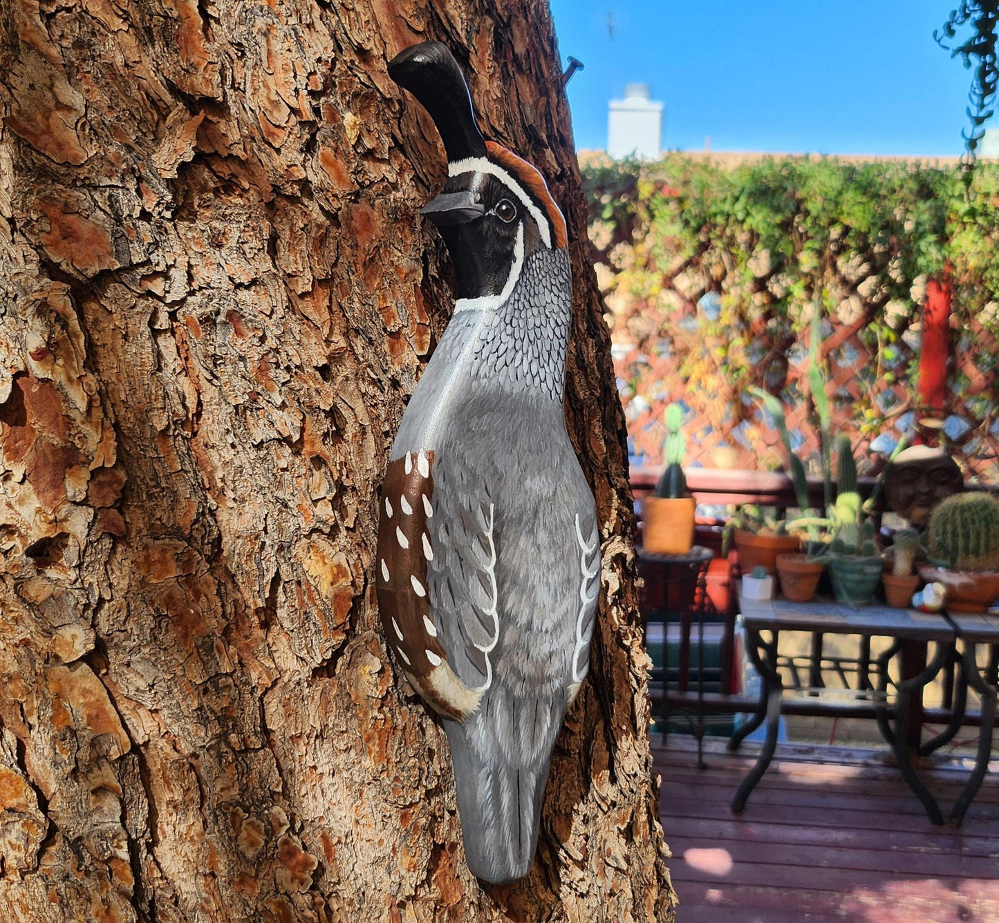 Gambel's Quail