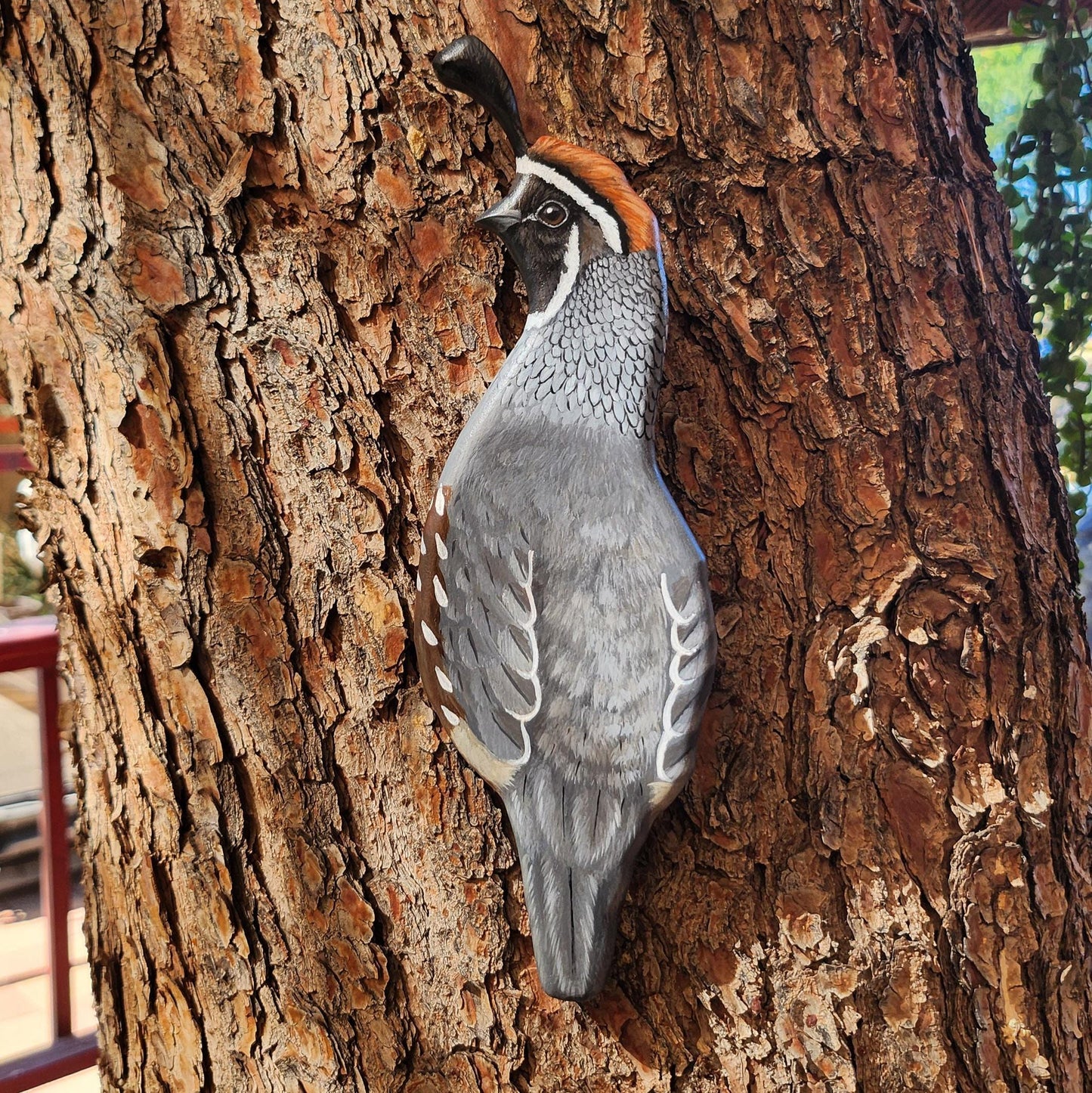Gambel's Quail