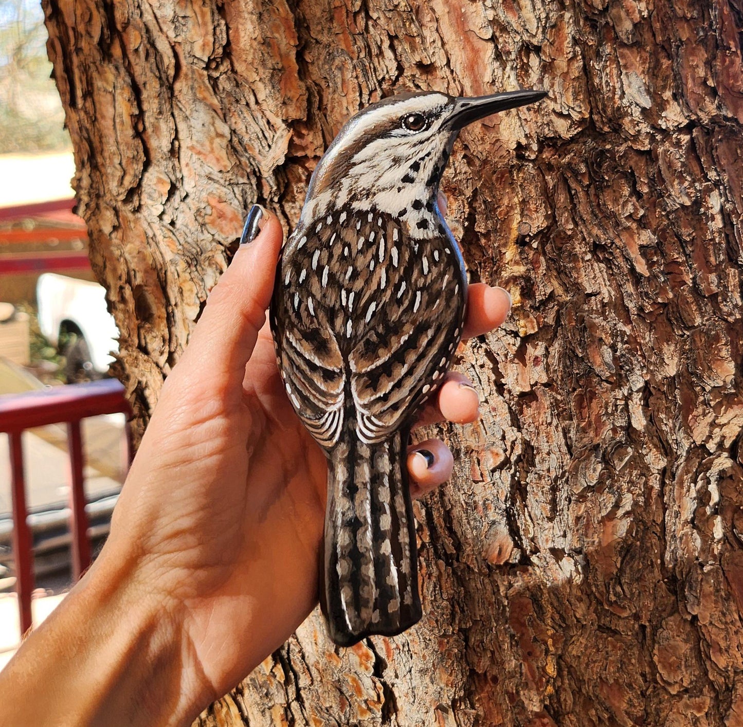 Cactus Wren