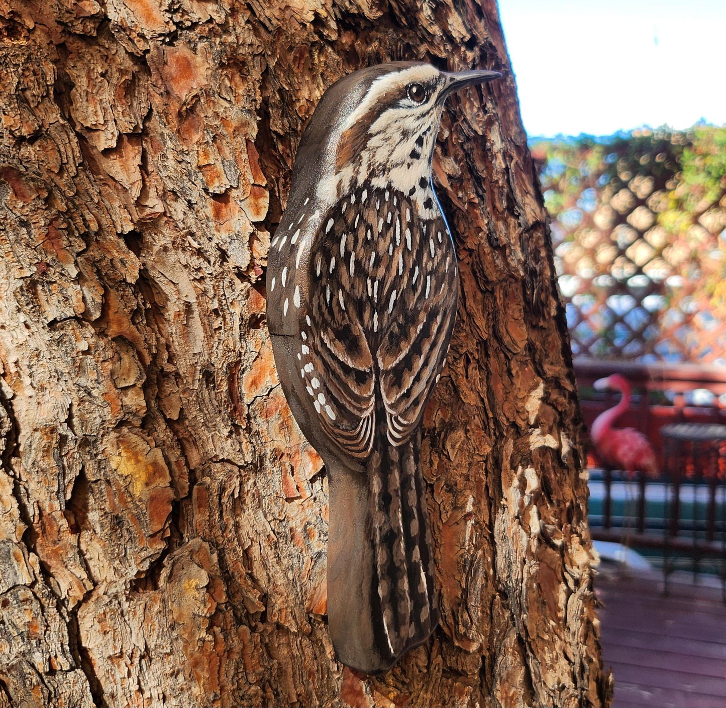 Cactus Wren