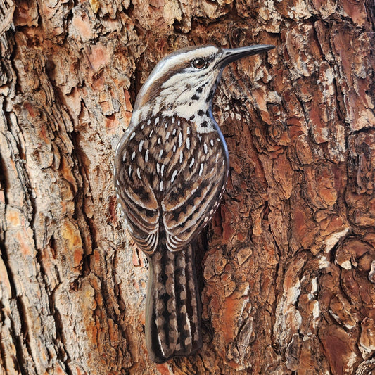 Cactus Wren