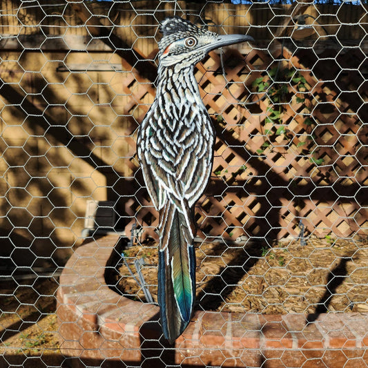 Greater Roadrunner