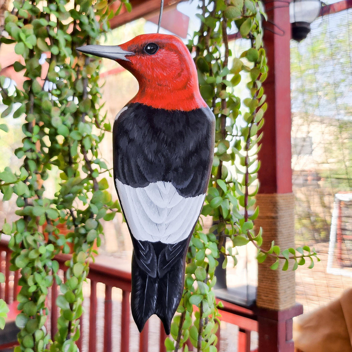 Red Headed Woodpecker