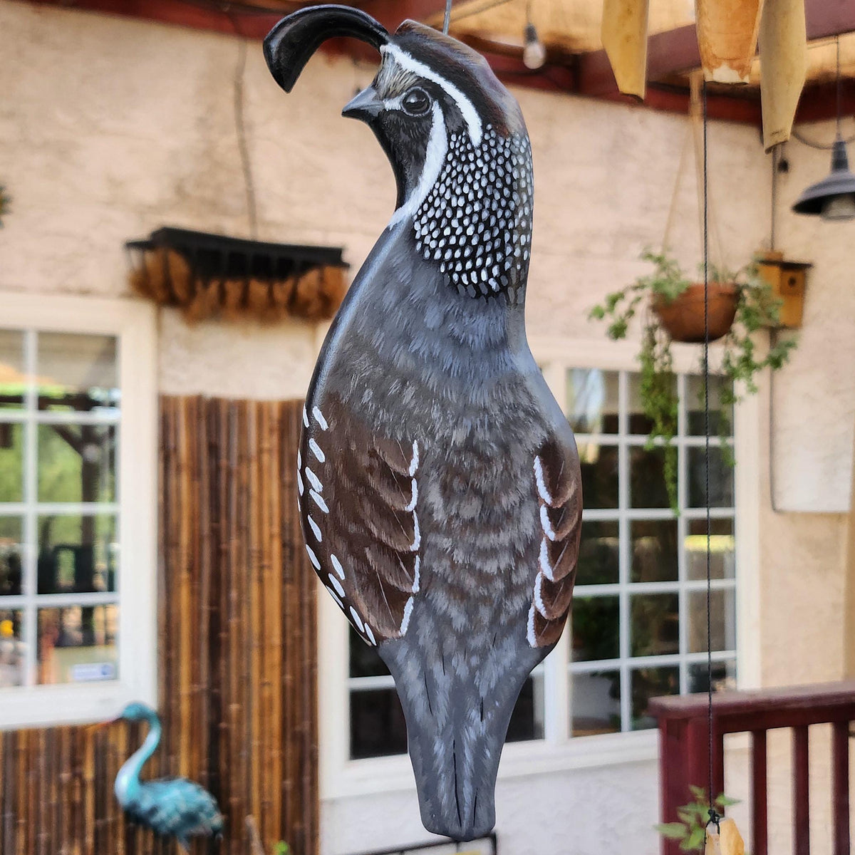 California Quail